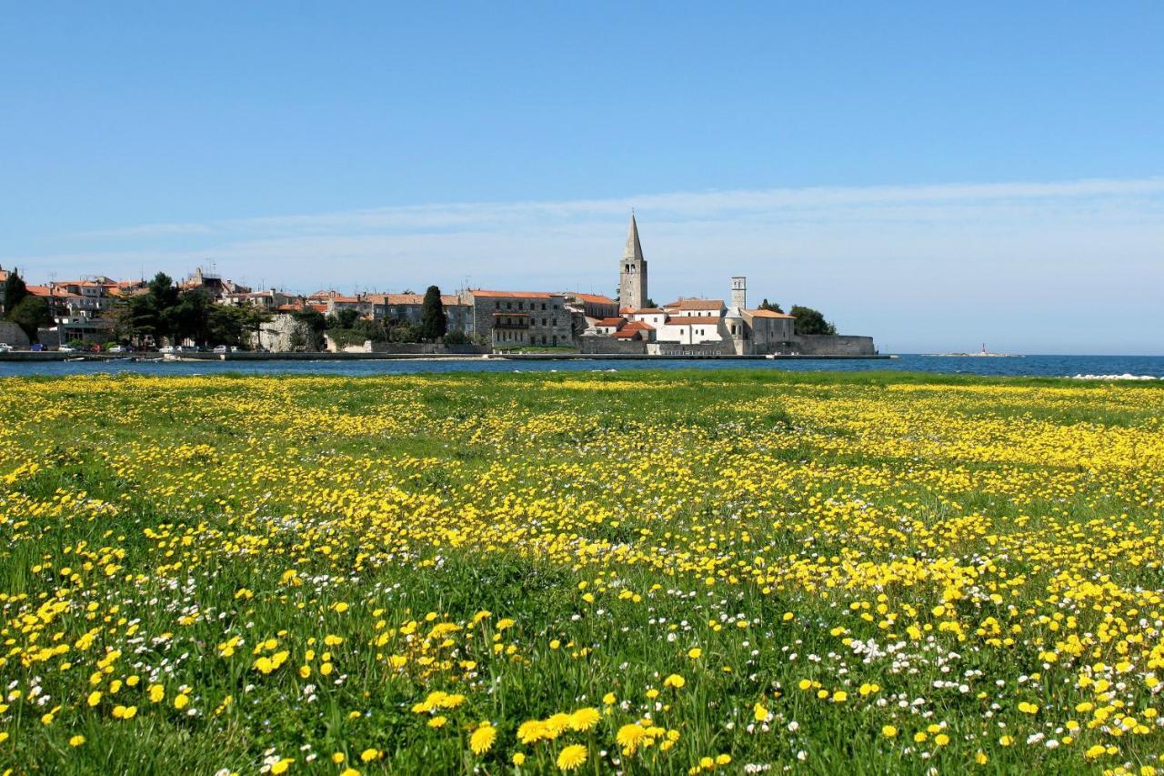 Villa Vita In Porec - Haus Fuer 6-8 Personen Kaštelir Buitenkant foto